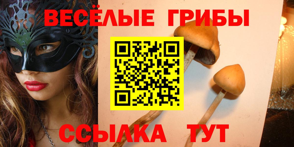 Псилоцибиновые грибы прущие грибы Сланцы