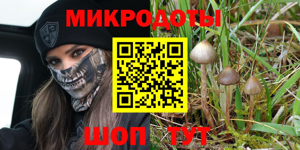 Псилоцибиновые грибы прущие грибы  Псилоцибиновые грибы Psilocybe  Сланцы  Вход с VPN 